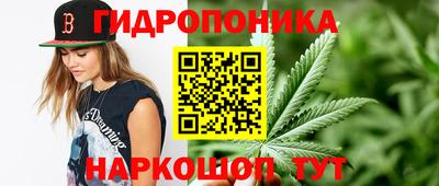 ALPHA PVP Кимры