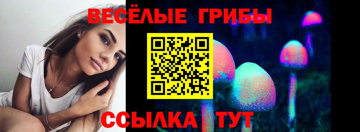 Псилоцибиновые грибы Psilocybine cubensis  Вход с VPN  Минеральные Воды 